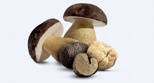 funghi porcini tartufati